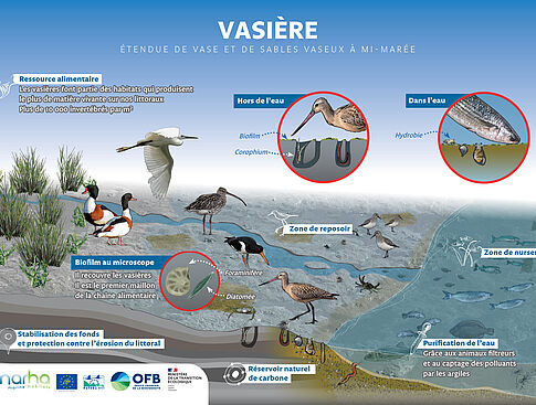 Agrandir l'image (fenêtre modale)