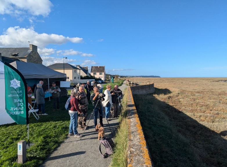 Le stand face aux prés salés - Agrandir l'image (fenêtre modale)